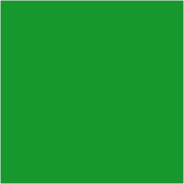 Brystol B1 (700x1000mm) ciemny zielony